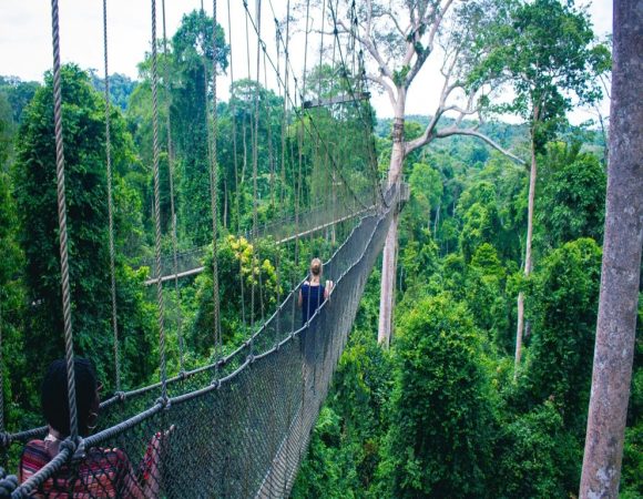 Kakum National Park - Tour