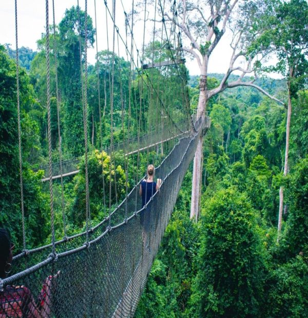 Kakum National Park - Tour