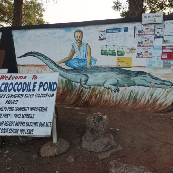 Paga Crocodile Pond – Tour