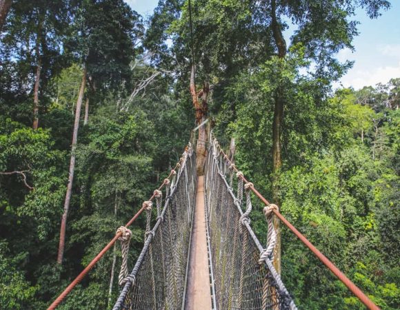 Kakum National Park