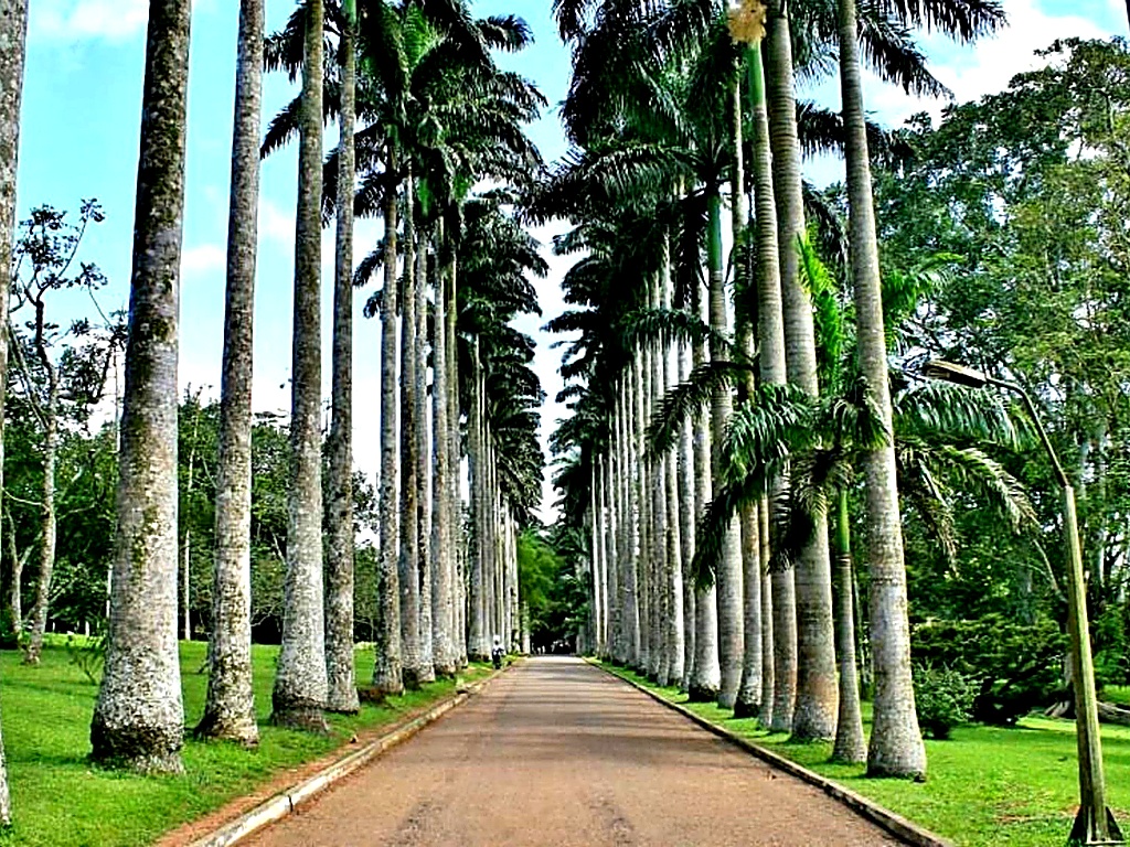 Aburi Botanical Gardens