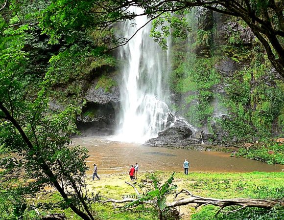 Wli Waterfalls