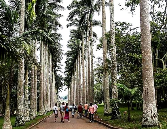 Aburi Botanical Gardens